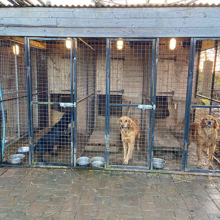 Power and lighting supply