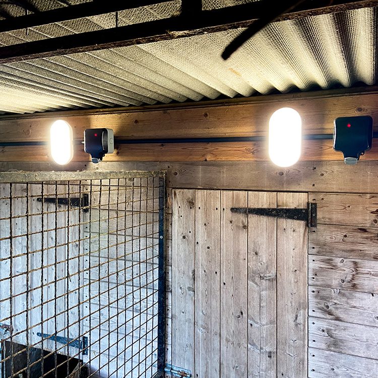 Power and lighting supply